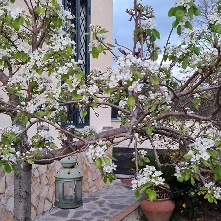 Il Melograno 4* Guidonia