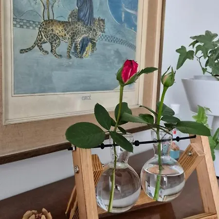 Il Melograno فندق مبيت وإفطار Guidonia