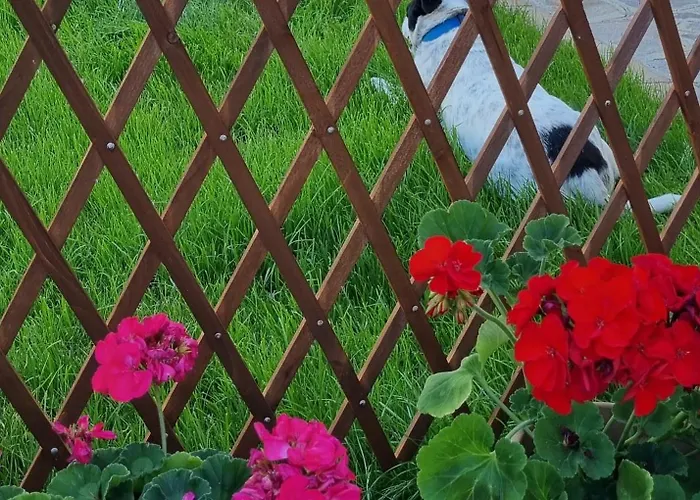 Il Melograno Bed and Breakfast 4*