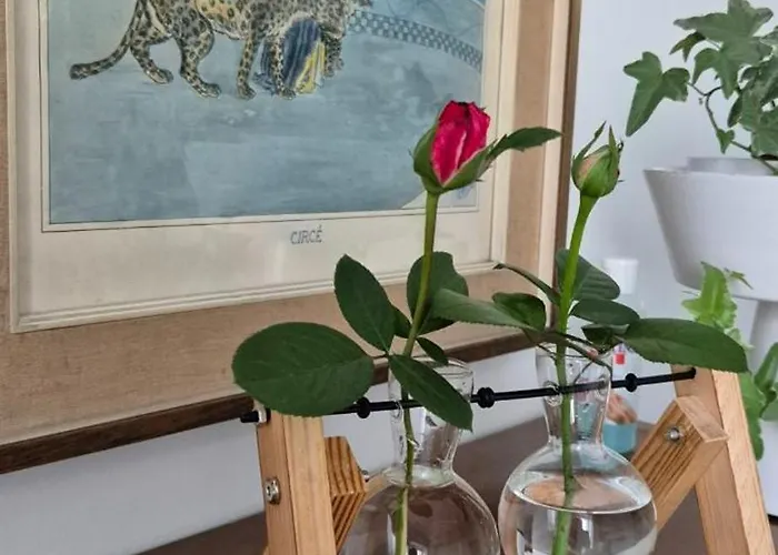 Il Melograno Bed and Breakfast Guidonia